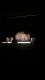 2025-01-25-26_Opera-Salome-et-Theatre-Wendy-et-Peter-Pan_001