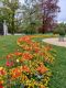 2025-04-17_Musee-Ariana_010