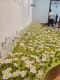 2025-04-17_Musee-Ariana_011