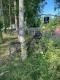 2025-06-16-22_Semaine-des-Refugies_009
