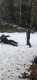 2026-02-13_Sortie-StCergue-par-Juline_002