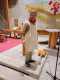 2023-12-13_Temple-Servette_Celebration-Noel_021