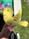 W49_2020-05-06_Reouverture_012