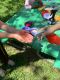 W49_2020-05-06_Reouverture_013